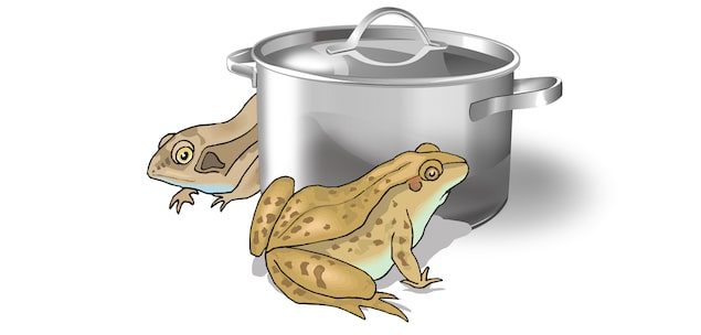 Boiling frog - Spring so lang es noch geht